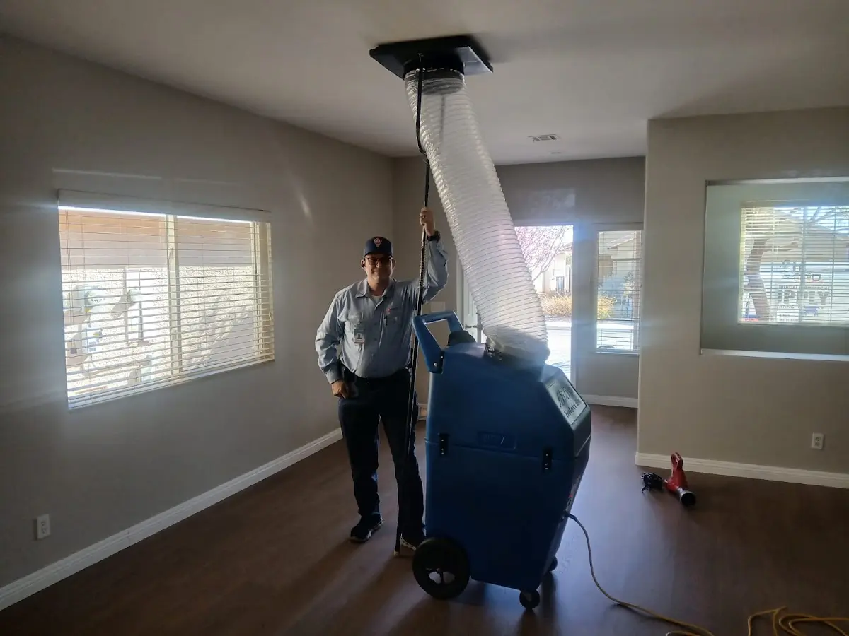 Professional Dryer Vent Cleaning work inside a Zachary home